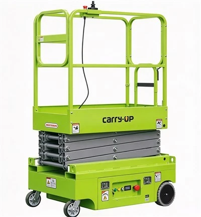 Electric Platform Truck